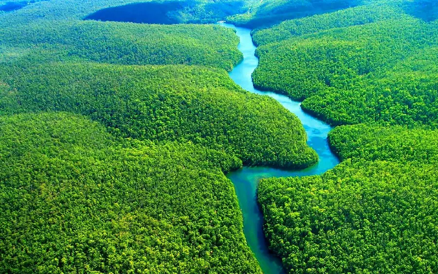 Download the brilliant wallpaper of the beautiful and lush path of the Amazon, the second largest river in the world, in high quality